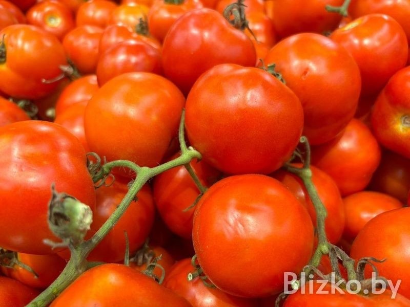 Сравнили цены на продукты в магазинах Беларуси и Израиля. И вот что получилось