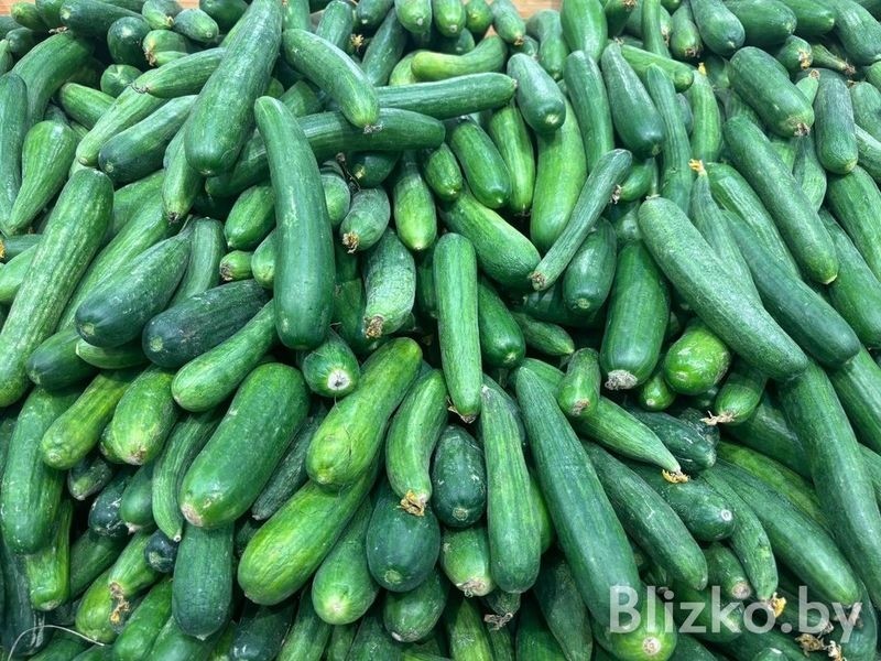 Сравнили цены на продукты в магазинах Беларуси и Израиля. И вот что получилось